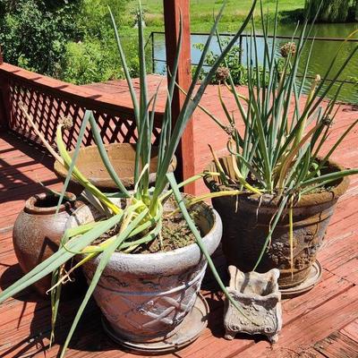 Foam Planters