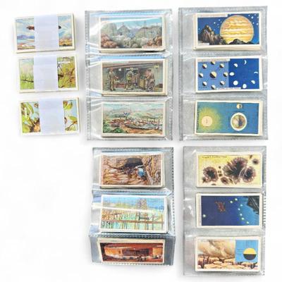 Sale Photo Thumbnail #180