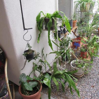 Sale Photo Thumbnail #75