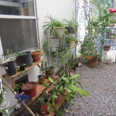 Sale Photo Thumbnail #76