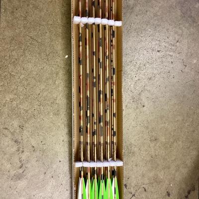 Martin Arrows 