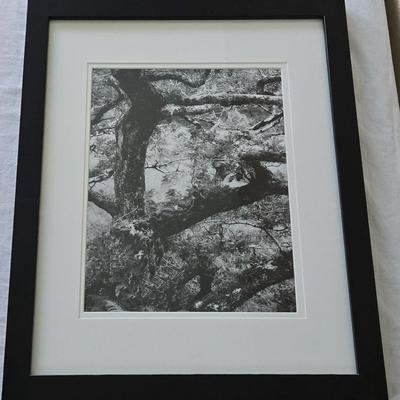 Frames Black And White “Summer Sunset” By Csaba Deak 
