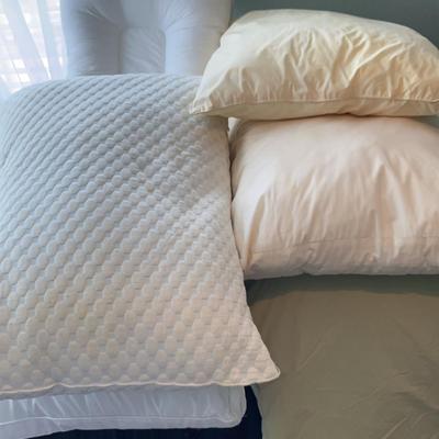 Variety Of Pillows And Bolsters