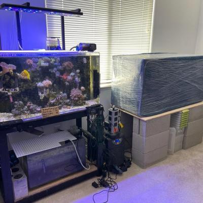 Sale Photo Thumbnail #10: Aquarium set up with all live plants and fish and brand new aquarium tothe right - just delivered  ! All new parts in boxes and everything you need ! 