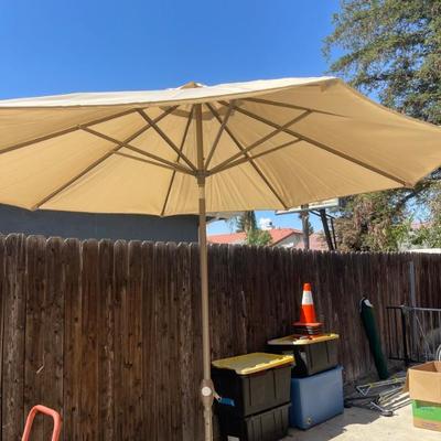 Umbrella 
