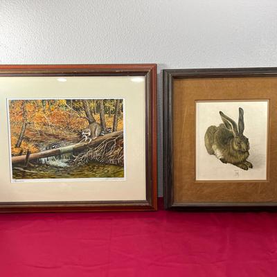 "Raccoon" by John C. Hamel/"The Hare" by Albrecht Durer