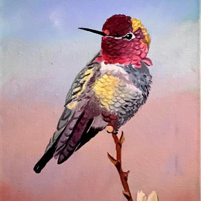 Anna's Hummingbird Oil on Panel, 6" x 8" Reserve Price $65
