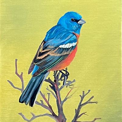 Lazuli Bunting 8" x 10" Oil Painting on Panel, Reserve Price $125