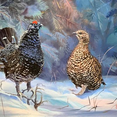 Sage Grouse 12" x 16" Oil Painting on Panel, Reserve Price $375