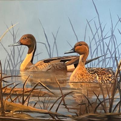 Pintails on the Pond 12" x 16" Oil Painting on Panel, Reserve Price $400