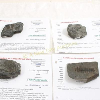 Sale Photo Thumbnail #388