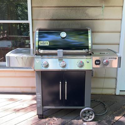 Webber Grill
