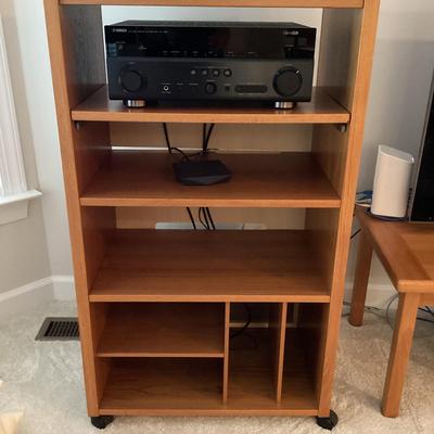 Teak Stereo Cabinet/Bookcase