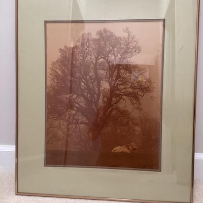 Sepia Tone Framed Photo