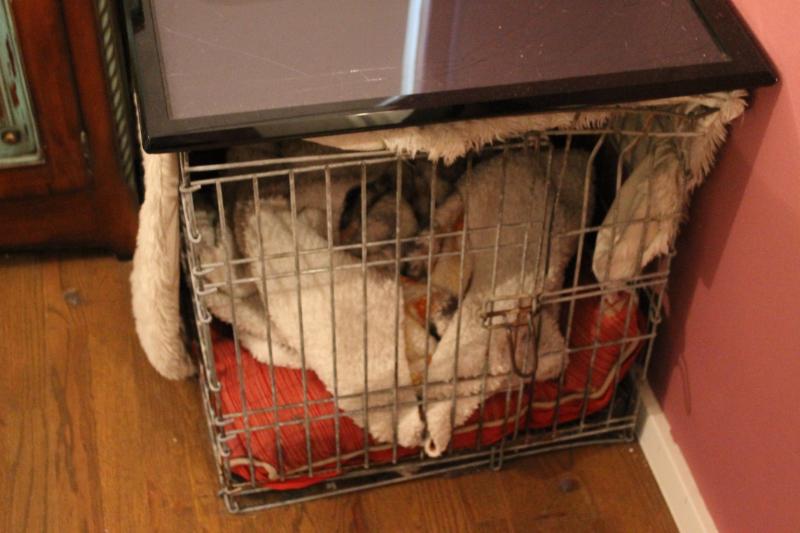 Sale Photo Thumbnail #44