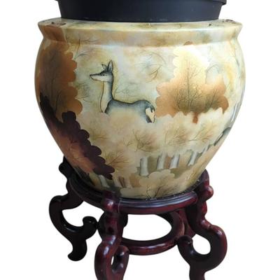 Large Ceramic Planter with Dragon Tree