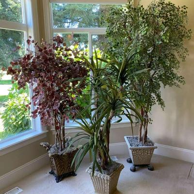 3 Large Everlasting Trees 