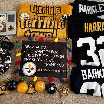 AAE025 - Pittsburgh Steelers Super Fan Memorabilia! Includes Jersey, Terrible Towels & More