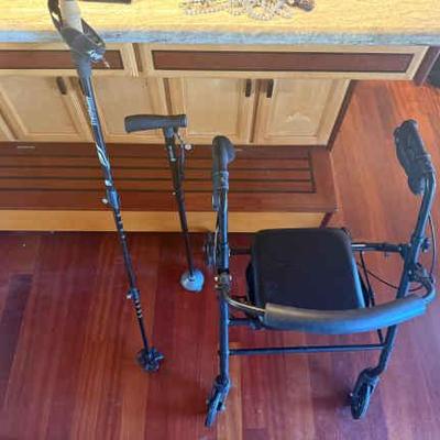 AAE032 Mobility Walker, Cane, and Hiking Stick