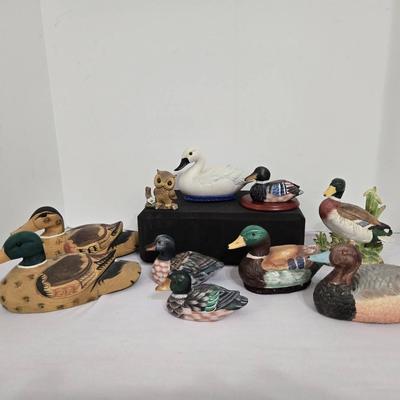 Collection Of Waterfowl, Etc