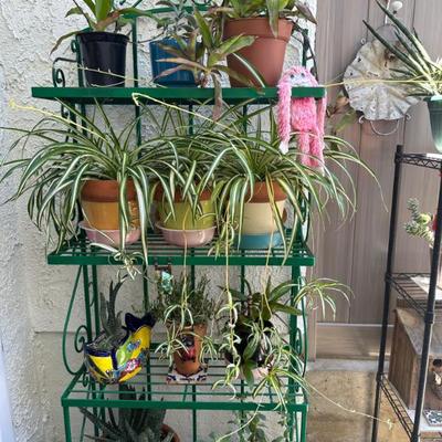 Sale Photo Thumbnail #75