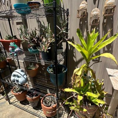 Sale Photo Thumbnail #71
