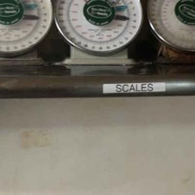 CCS037 Stainless Steel Shelf