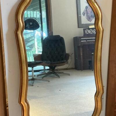 Gold Frame Wall Mirror 21" x 42.5"