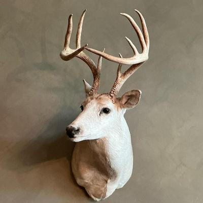 Deer Taxidermy Shoulder Mount III