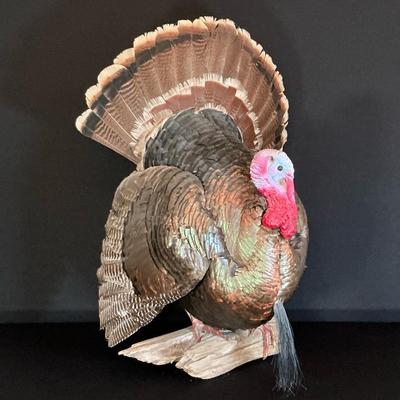 Full Body Wild Turkey Mount