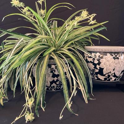 Pair of Black & White Asian Ceramic Planters