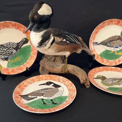 Wild Ducks!