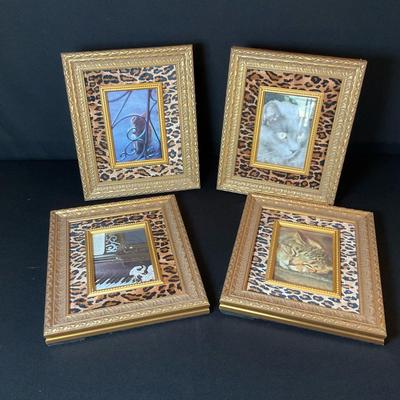Cat Framed Photograph Quartet 