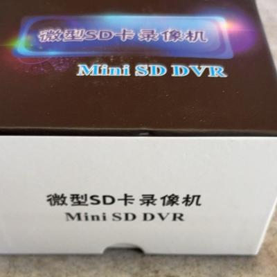 Mini SD DVR