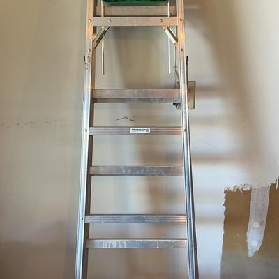 Werner 6' Ladder 