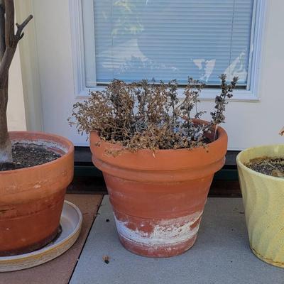 Planters 