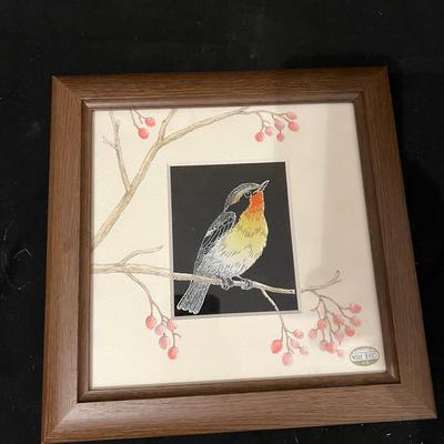 Beautiful Bird