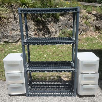 Plastic Shelves And Two Rolling Carts