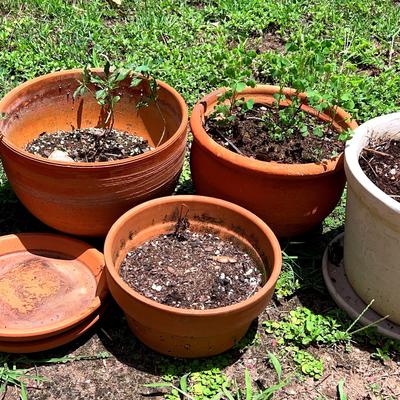 Small Terracotta Pots