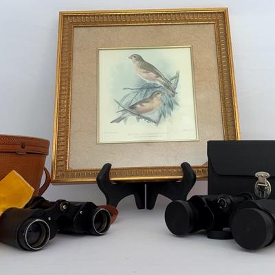 Vintage Bird Watching