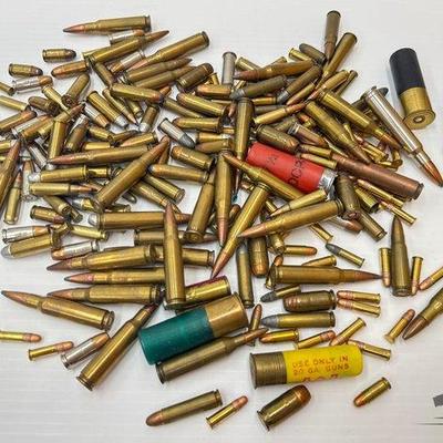 #709 • Over 50 Rounds of Mixed Ammo
