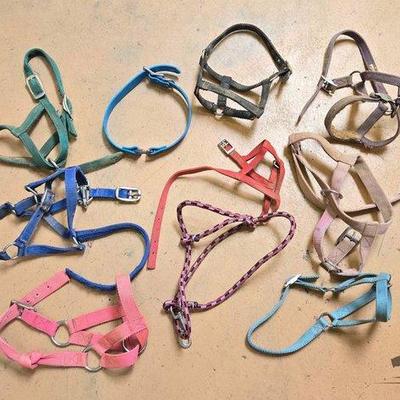 Sale Photo Thumbnail #97: #1994 • Halters, Lead and Collar
