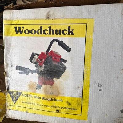 Sale Photo Thumbnail #340: #12082 • Ardisam Woodchuck
