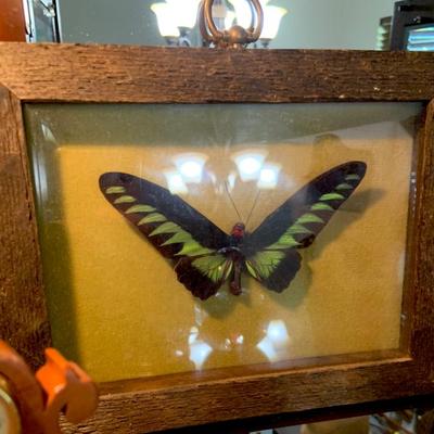 Sale Photo Thumbnail #48
