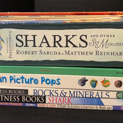 Sharks, Castles, Knights, Oh My! Children’s Non-fiction Books