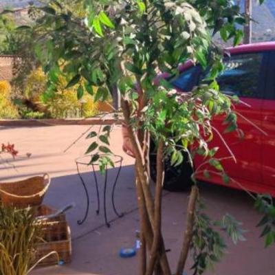 Jh172 faux ficus tree