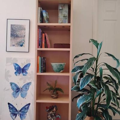 Jh161 bookcase and pictures