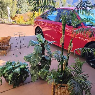 Jh187 faux plants with baskets
