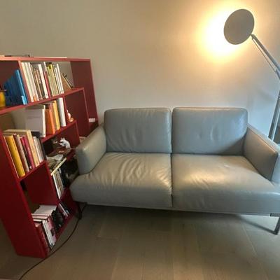 Natuzzi loveseat, bookshelf & floorlamp (books not for sale)