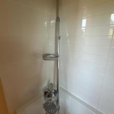Shower organizer